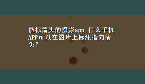 能标箭头的摄影app 什么手机APP可以在图片上标注指向箭头？