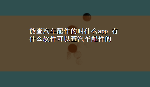 能查汽车配件的叫什么app 有什么软件可以查汽车配件的