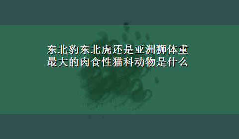 东北豹东北虎还是亚洲狮体重最大的肉食性猫科动物是什么