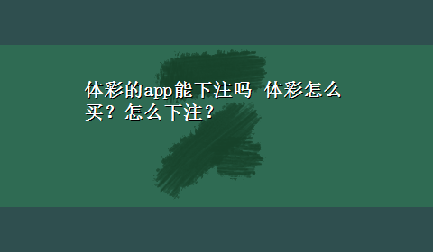 体彩的app能下注吗 体彩怎么买？怎么下注？