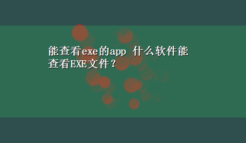 能查看exe的app 什么软件能查看EXE文件？