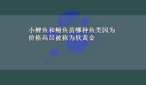 小鲤鱼和鳗鱼苗哪种鱼类因为价格高昂被称为软黄金