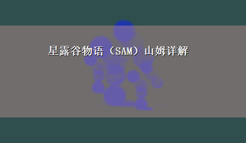 星露谷物语（SAM）山姆详解