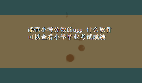 能查小考分数的app 什么软件可以查看小学毕业考试成绩