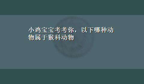 小鸡宝宝考考你，以下哪种动物属于猴科动物