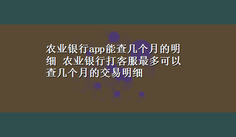 农业银行app能查几个月的明细 农业银行打客服最多可以查几个月的交易明细