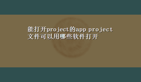 能打开project的app project文件可以用哪些软件打开