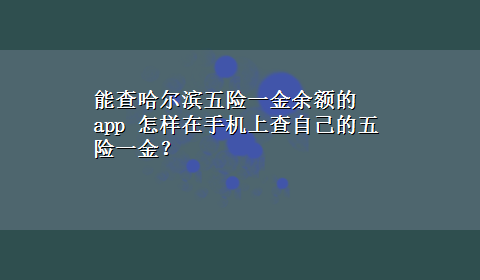 能查哈尔滨五险一金余额的app 怎样在手机上查自己的五险一金？