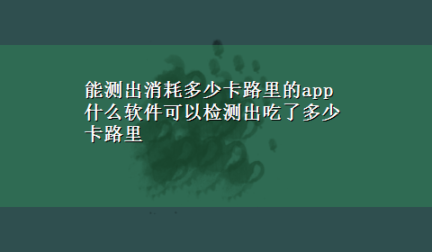 能测出消耗多少卡路里的app 什么软件可以检测出吃了多少卡路里