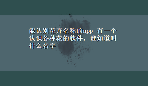 能认别花卉名称的app 有一个认识各种花的软件，谁知道叫什么名字