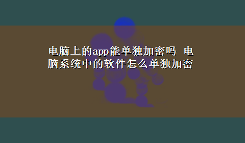 电脑上的app能单独加密吗 电脑系统中的软件怎么单独加密