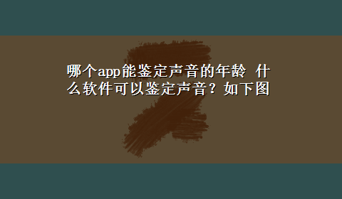 哪个app能鉴定声音的年龄 什么软件可以鉴定声音？如下图