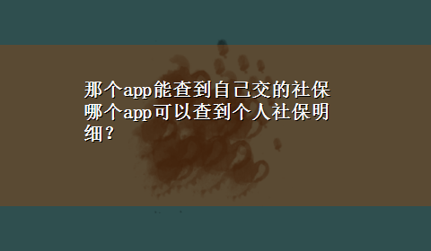 那个app能查到自己交的社保 哪个app可以查到个人社保明细？