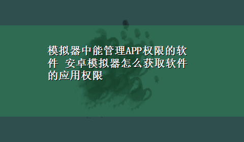 模拟器中能管理APP权限的软件 安卓模拟器怎么获取软件的应用权限