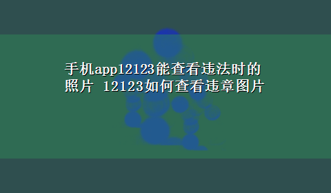 手机app12123能查看违法时的照片 12123如何查看违章图片