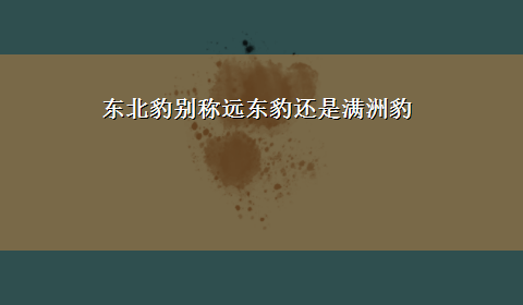 东北豹别称远东豹还是满洲豹