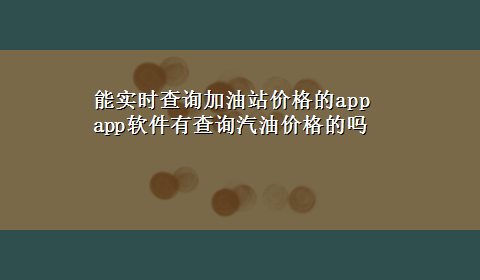 能实时查询加油站价格的app app软件有查询汽油价格的吗