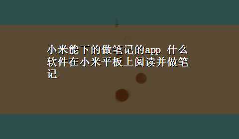 小米能下的做笔记的app 什么软件在小米平板上阅读并做笔记