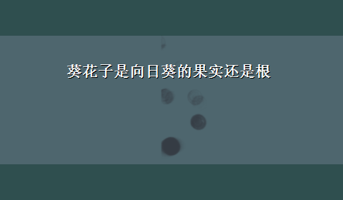 葵花子是向日葵的果实还是根