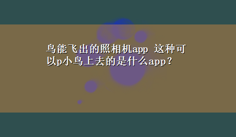 鸟能飞出的照相机app 这种可以p小鸟上去的是什么app？