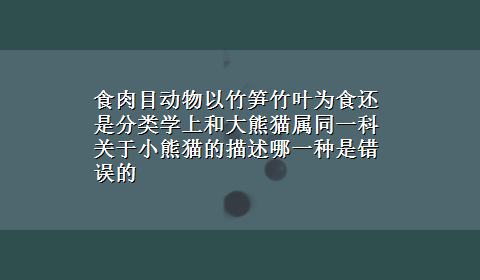 食肉目动物以竹笋竹叶为食还是分类学上和大熊猫属同一科关于小熊猫的描述哪一种是错误的