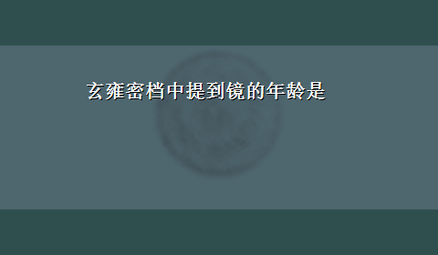 玄雍密档中提到镜的年龄是