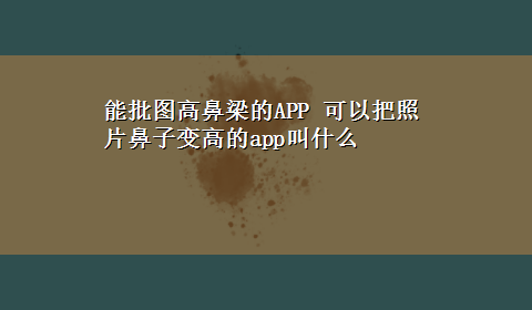 能批图高鼻梁的APP 可以把照片鼻子变高的app叫什么