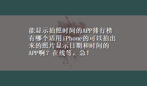 能显示拍照时间的APP排行榜 有哪个适用iPhone的可以拍出来的照片显示日期和时间的APP啊？在线等，急！