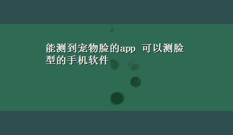 能测到宠物脸的app 可以测脸型的手机软件