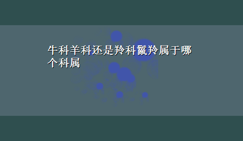 牛科羊科还是羚科鬣羚属于哪个科属