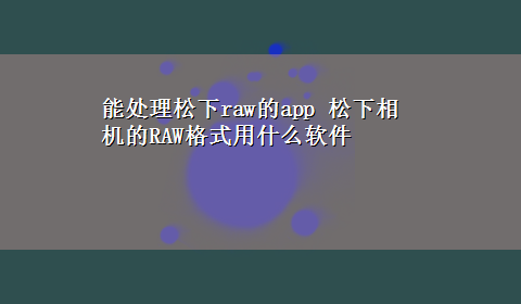 能处理松下raw的app 松下相机的RAW格式用什么软件