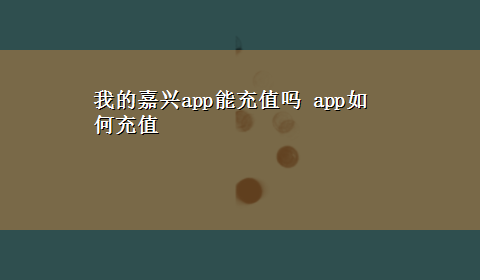 我的嘉兴app能充值吗 app如何充值