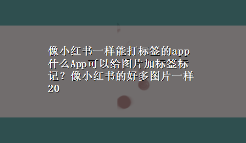 像小红书一样能打标签的app 什么App可以给图片加标签标记？像小红书的好多图片一样20