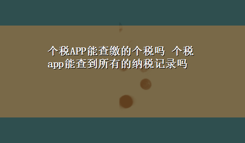 个税APP能查缴的个税吗 个税app能查到所有的纳税记录吗