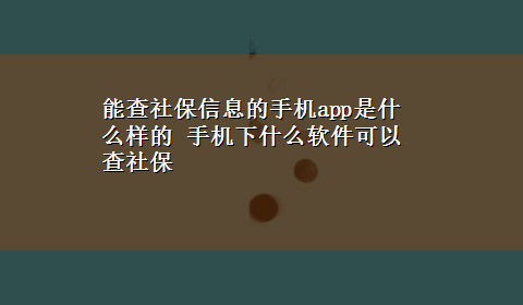 能查社保信息的手机app是什么样的 手机下什么软件可以查社保