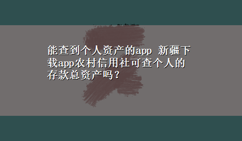 能查到个人资产的app 新疆x-zapp农村信用社可查个人的存款总资产吗？