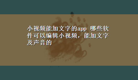 小视频能加文字的app 哪些软件可以编辑小视频，能加文字及声音的