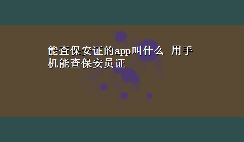 能查保安证的app叫什么 用手机能查保安员证