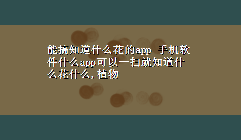 能搞知道什么花的app 手机软件什么app可以一扫就知道什么花什么,植物