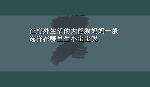 在野外生活的大熊猫妈妈一般选择在哪里生小宝宝呢