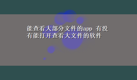 能查看大部分文件的app 有没有能打开查看大文件的软件