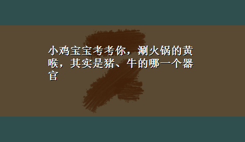 小鸡宝宝考考你，涮火锅的黄喉，其实是猪、牛的哪一个器官