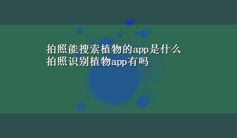 拍照能搜索植物的app是什么 拍照识别植物app有吗