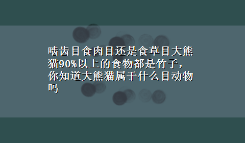 啮齿目食肉目还是食草目大熊猫90%以上的食物都是竹子，你知道大熊猫属于什么目动物吗