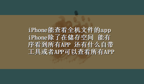 iPhone能查看全机文件的app iPhone除了在储存空间 能有序看到所有APP 还有什么自带工具或者APP可以查看所有APP