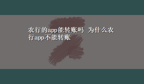 农行的app能转账吗 为什么农行app不能转账