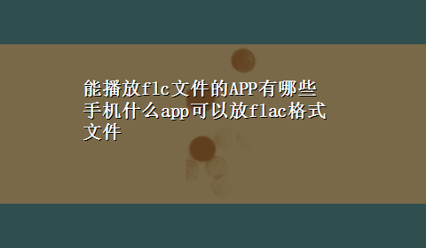 能播放flc文件的APP有哪些 手机什么app可以放flac格式文件