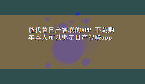 能代替日产智联的APP 不是购车本人可以绑定日产智联app