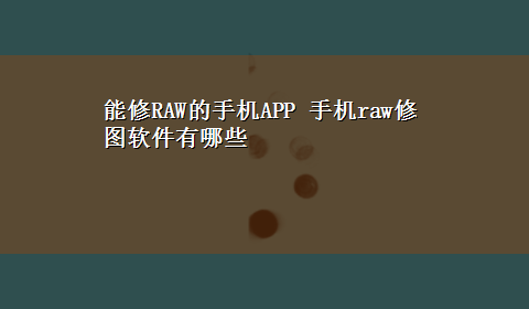 能修RAW的手机APP 手机raw修图软件有哪些