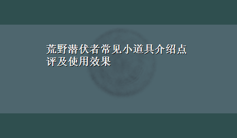 荒野潜伏者常见小道具介绍点评及使用效果